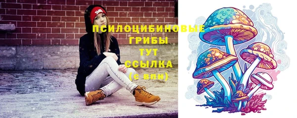 Альфа ПВП Волоколамск