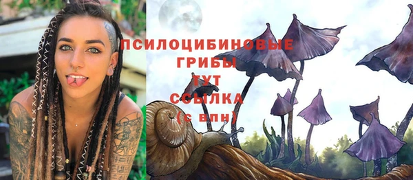 Альфа ПВП Волоколамск
