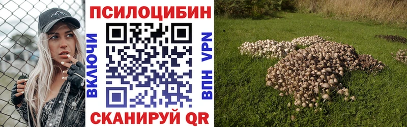 Купить где  Верхний Уфалей  Псилоцибиновые грибы прущие грибы 